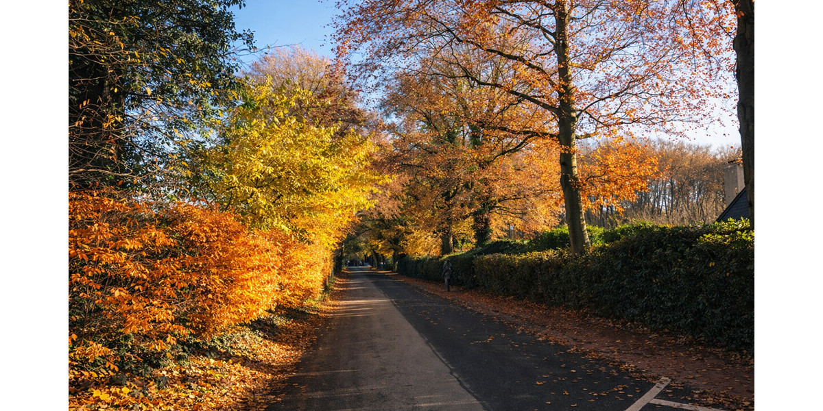 Abrissgrundstück in exklusiver und sehr schöner Lage von Münster- St. Mauritz - Grundstück Münster / Ost Ost | Angebot:24794059