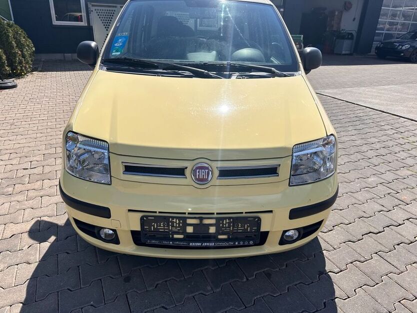 Panda
