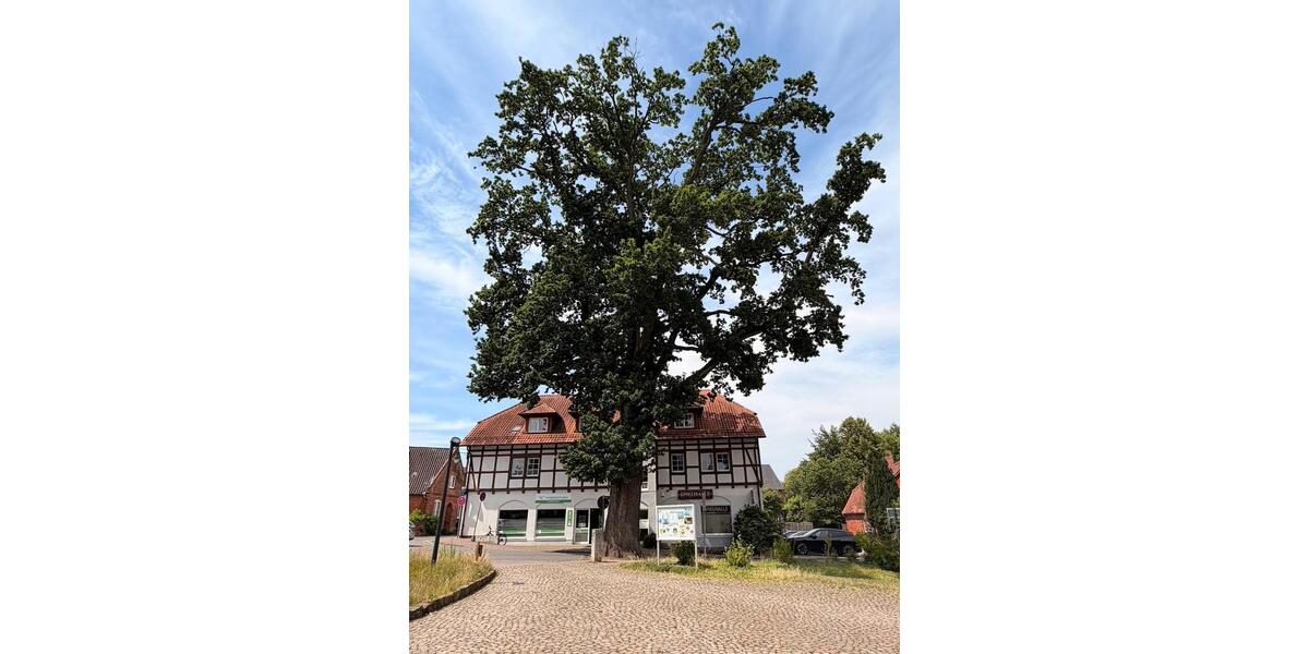 Mehrfamilienhaus, Wohnhaus Hankensbüttel - 825.000&euro; | Angebot:27302156