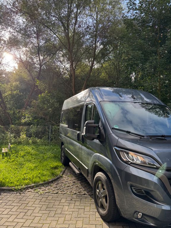 Fiat Ducato 57.000 km 39.999 € Mühlleithen 08248