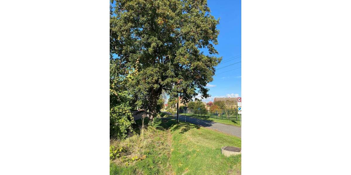 Mehrfamilienhaus, Wohnhaus Teutschenthal Dornstedt - 3 Zimmer, 85 m&sup2;, 109.000&euro; | Angebot:26016529