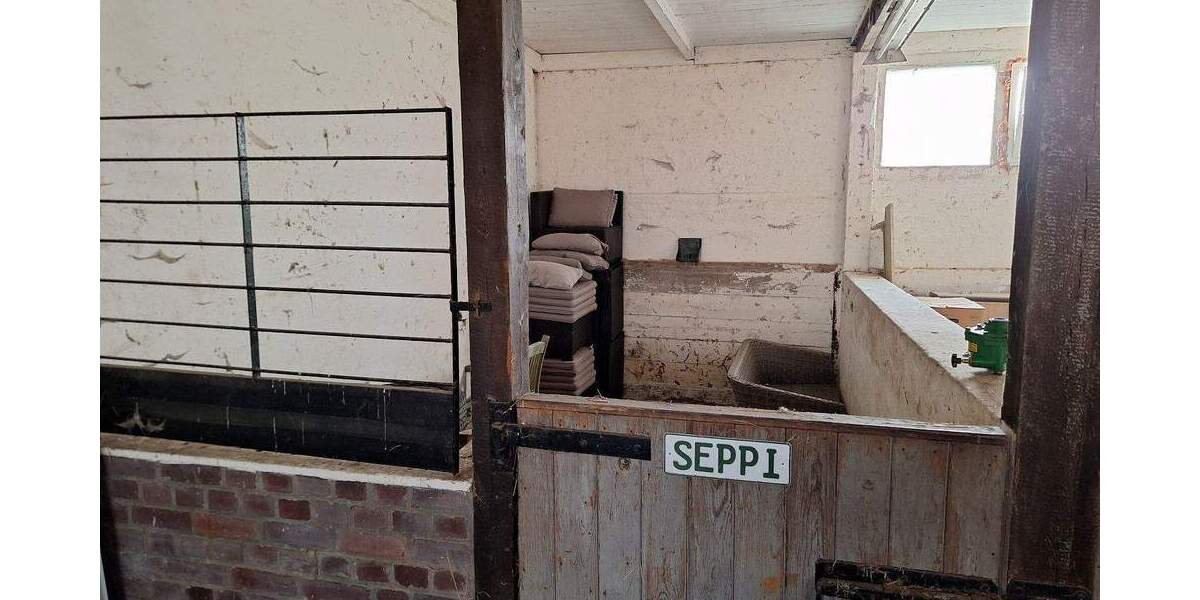 Riesen-Grundstück, zusätzl. Bauland, Riesen-Garage, Stall - Großzügiges Wohnhaus in Greifswald 7 zimmer