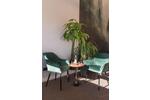Gewerbeobjekt Seeshaupt - 40&euro; | Angebot:24694650