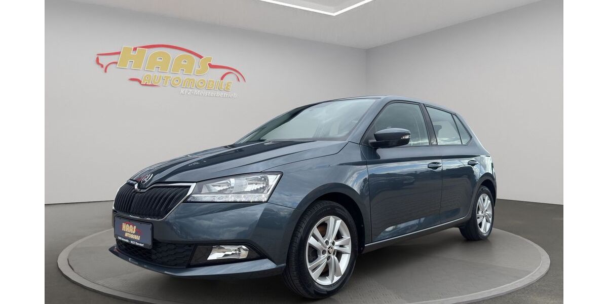 Skoda Fabia 53.605 km 11.790 &euro; Ebersdorf b.Coburg 96237