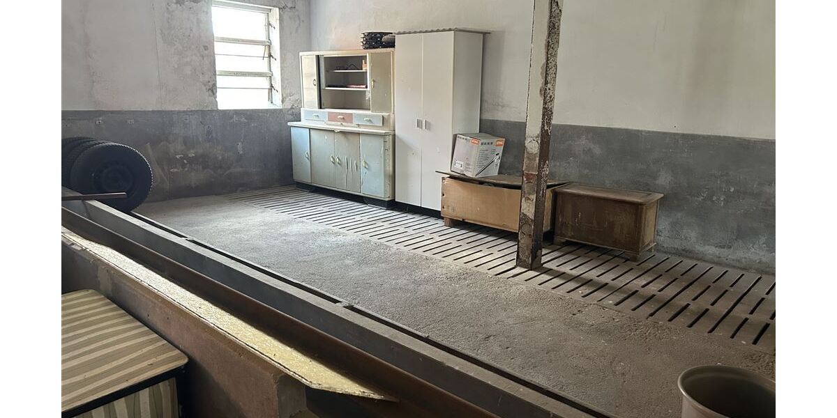 Bauernhof mit arrondierten Weide- und Ackerflächen, ideal für Pferdehaltung - Gewerbeobjekt Stolzenau | Angebot:24992642