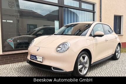 GWM Ora 03 4.110 km 21.980 &euro; Beeskow 15848