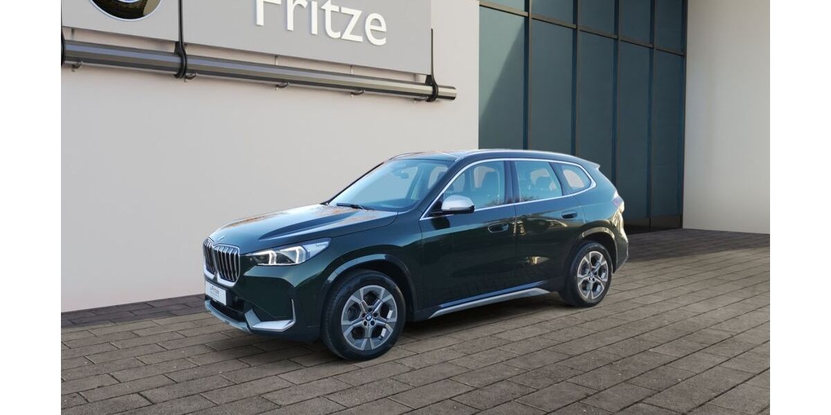BMW X1 116.150 km 26.485 &euro; Sangerhausen 06526