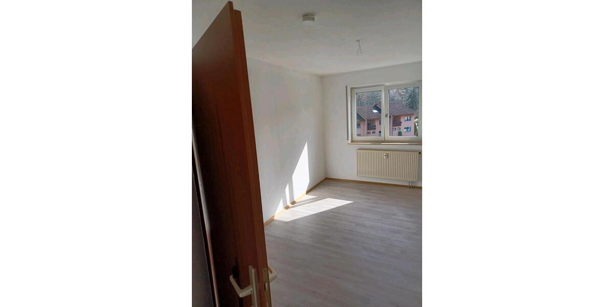 Etagenwohnung Nagold - 2 Zimmer, 45 m&sup2;, 550&euro; | Angebot:25419426