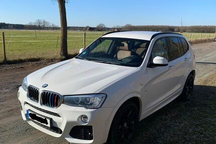 BMW X3 166.130 km 19.200 &euro; Hille 32479
