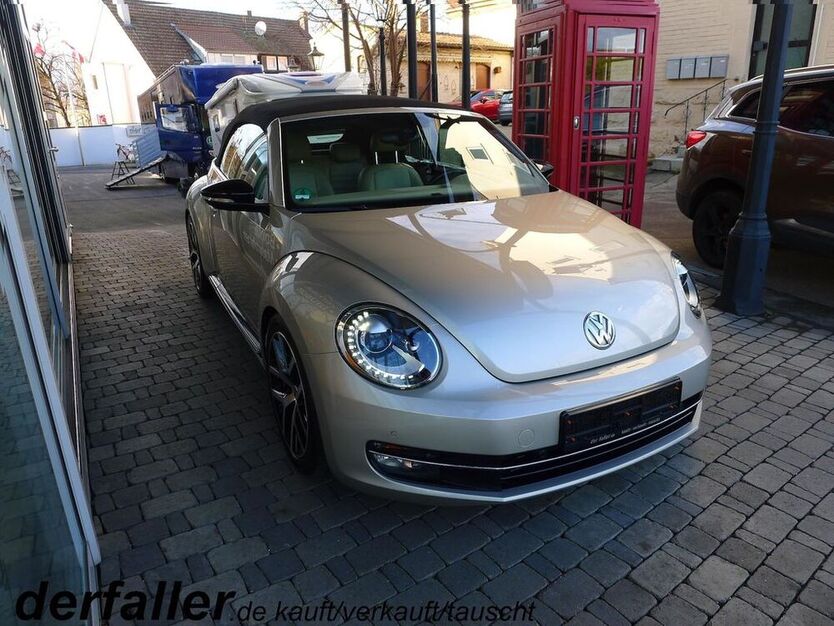 Beetle