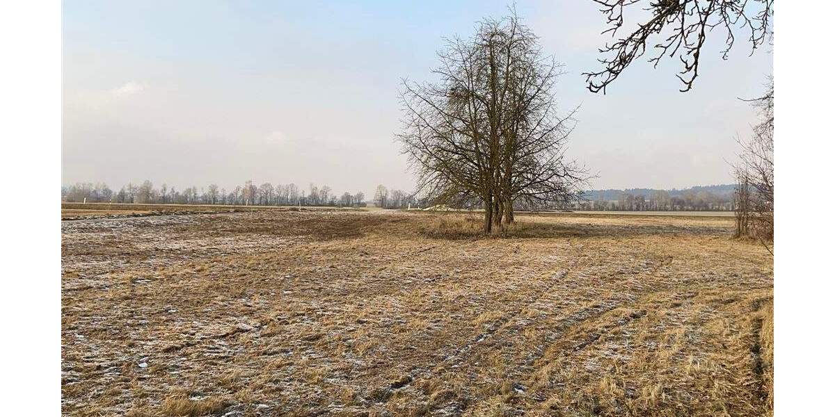 Einfamilienhaus Osterhofen Oberndorf - 6 Zimmer, 100 m&sup2;, 148.000&euro; | Angebot:24498887