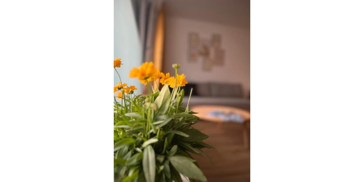 Sonnige, ruhig gelegene 1-Zimmerwohnung in Oberstaufen 1 zimmer