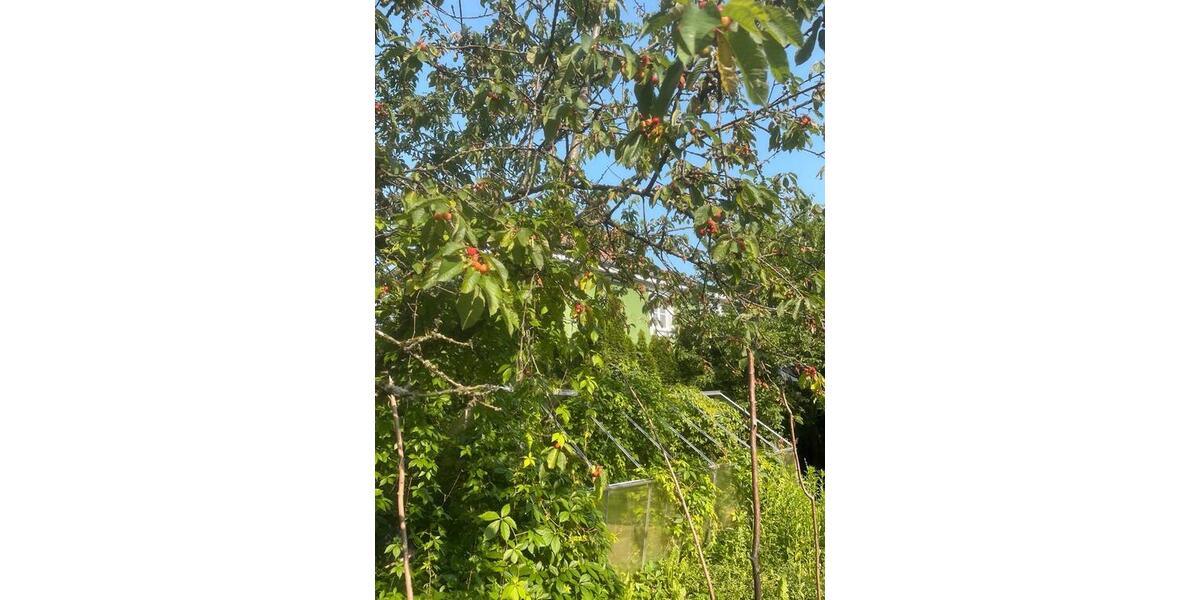 Einfamilienhaus Puchheim - 74 Zimmer, 180 m&sup2;, 2.250.000&euro; | Angebot:24641275