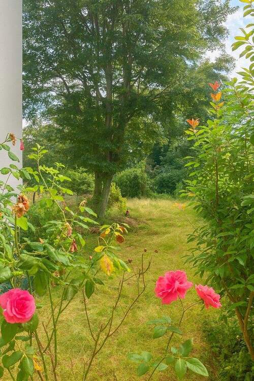 *Frisch renoviert und bezugsfertig* Moderne 3 Zimmer Wohnung *Garten* 3 zimmer