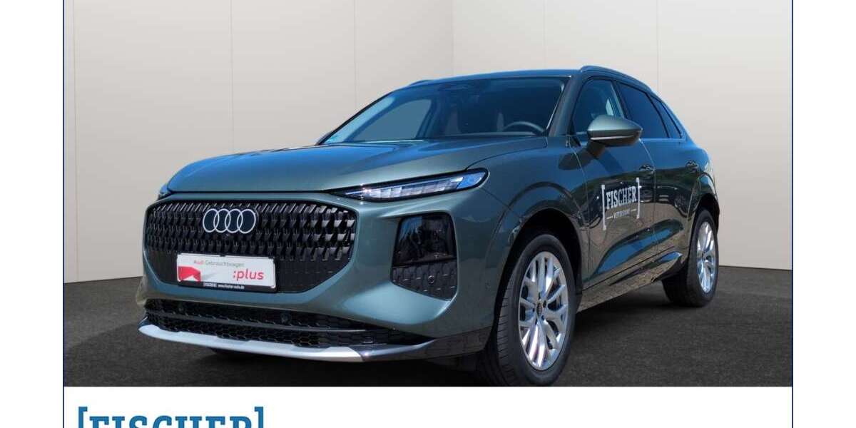 Audi Q3 5.000 km 49.870 &euro; Oettersdorf 07907