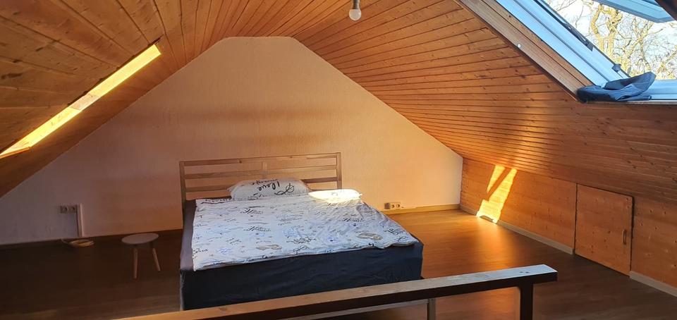 Dachgeschoßwohnung Gießen Schlangenzahl - 1 Zimmer, 55 m&sup2;, 510&euro; | Angebot:25379371