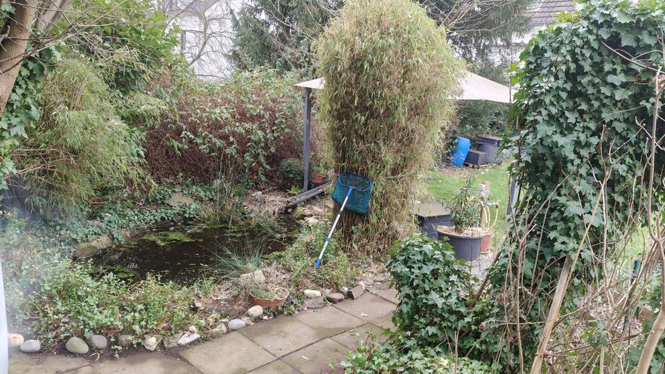 Erdgeschoßwohnung Meerbusch - 3 Zimmer, 84 m&sup2;, 950&euro; | Angebot:25025805