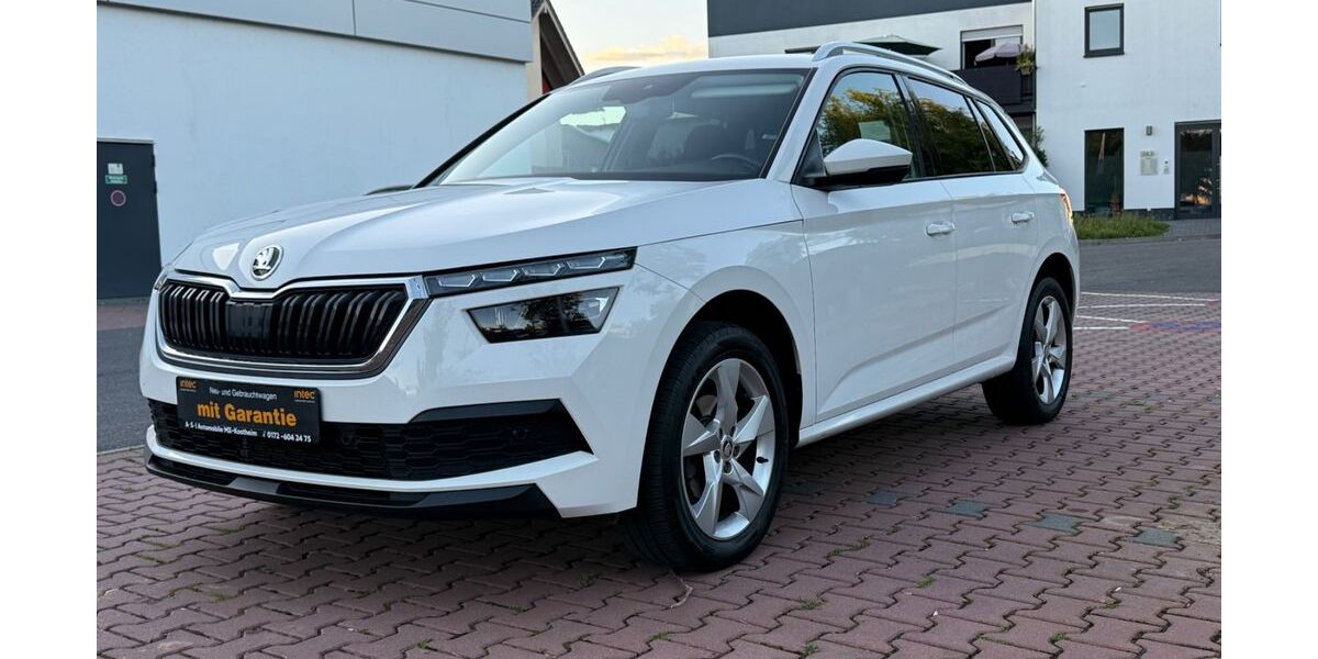 Skoda Kamiq 129.800 km 17.300 &euro; Mainz-Kostheim 55246