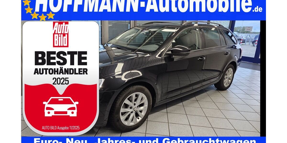 Skoda Octavia 87.282 km 16.850 € Wolfsburg-Heiligendorf 38444