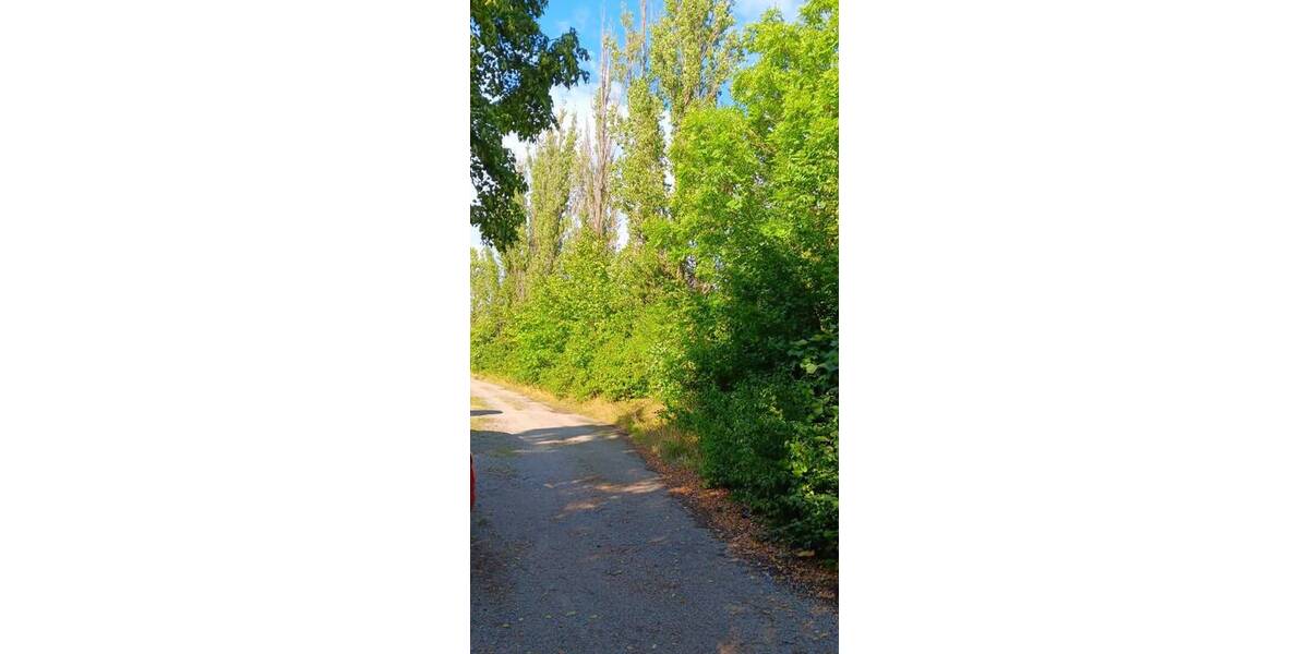 Grundstück Saalfeld Crösten - 71.500&euro; | Angebot:25769579