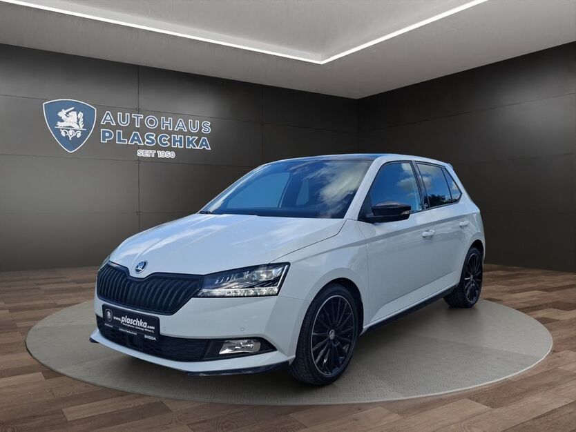 Skoda Fabia 31.100 km 16.450 € Amelinghausen 21385