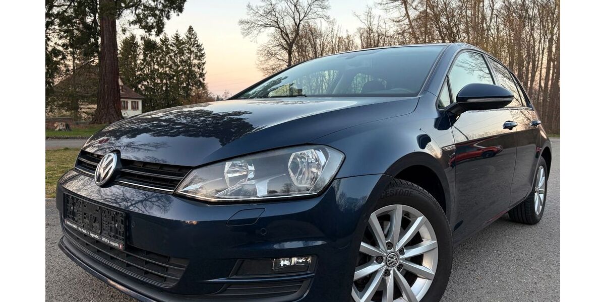 VW Golf 212.696 km 7.700 &euro; Bildstock 66299