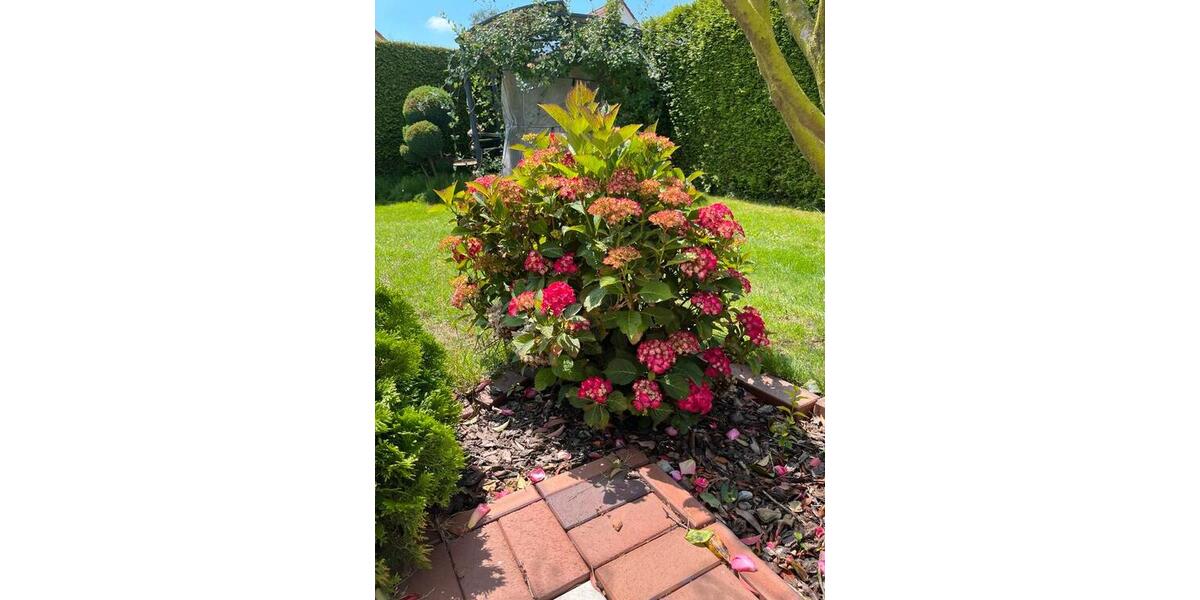 Einfamilienhaus Minden Kuhlenkamp - 5 Zimmer, 170 m&sup2;, 1.700&euro; | Angebot:25967737