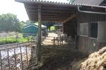 Bauernhaus, Landhaus Windeck - 680.000&euro; | Angebot:26778717