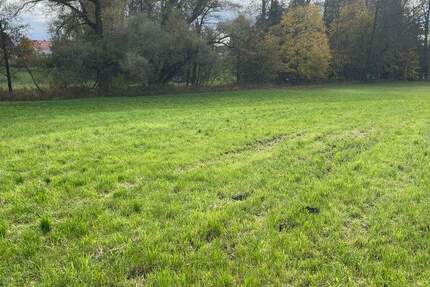 landwirtschaftliche Grundstücke in Großkarolinenfeld zimmer