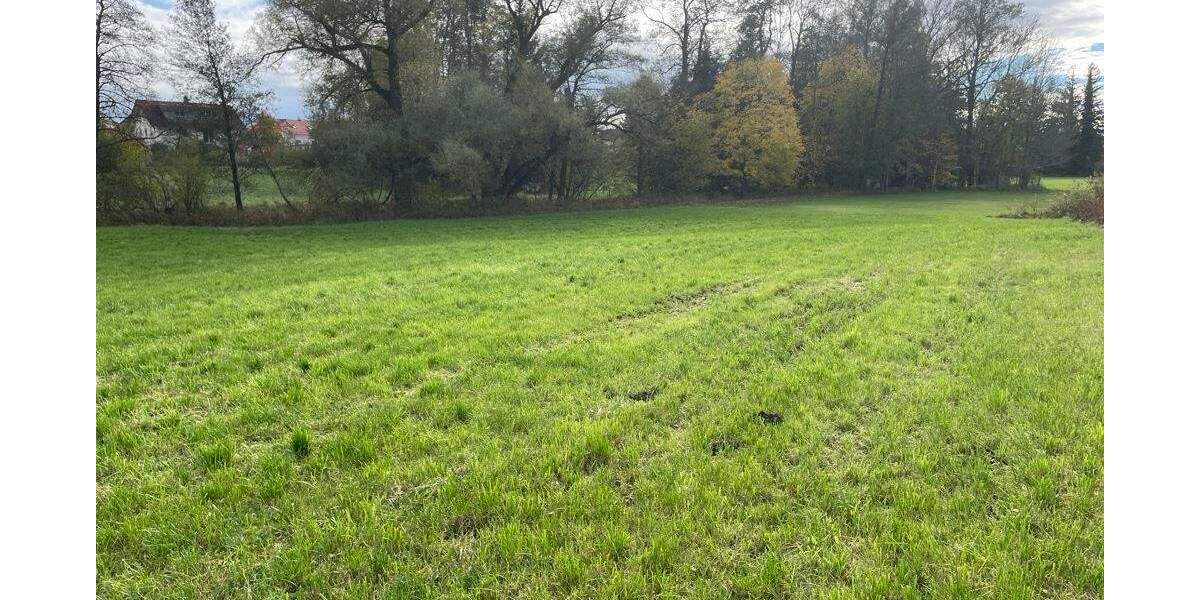 landwirtschaftliche Grundstücke in Großkarolinenfeld zimmer