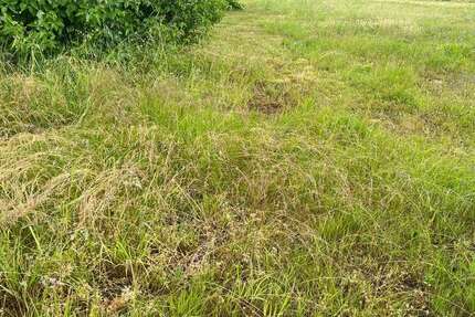 Grundstück Bannewitz - 130.000&euro; | Angebot:25572059