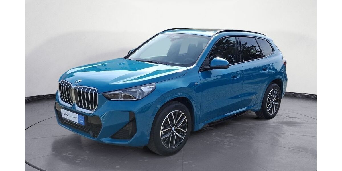 BMW X1 13.790 km 42.660 &euro; Lahr 77933