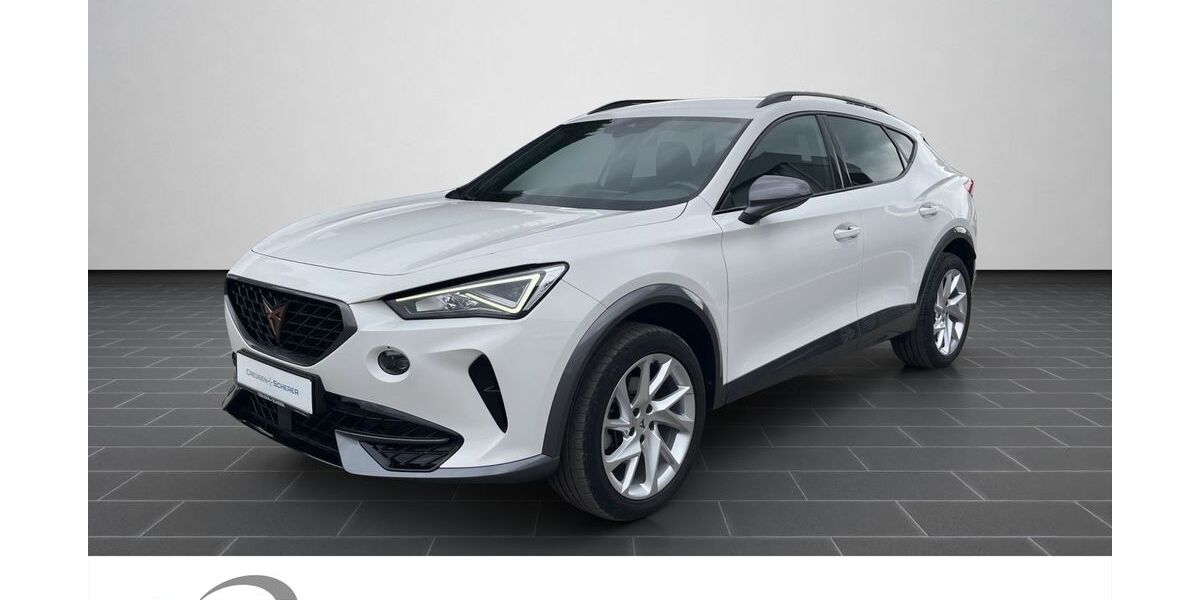 Cupra Formentor 51.128 km 24.900 &euro; Alzey 55232