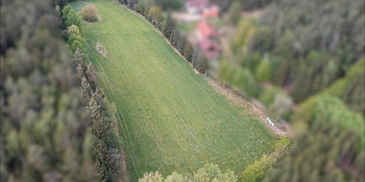 Landwirtschaftliche Nutzfläche mit Erweiterungspotenzial - Grundstück Zell | Angebot:26531586