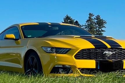 Ford Mustang 120.000 km 19.999 &euro; Neukirch 88099