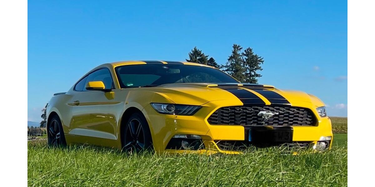 Ford Mustang 120.000 km 19.999 &euro; Neukirch 88099