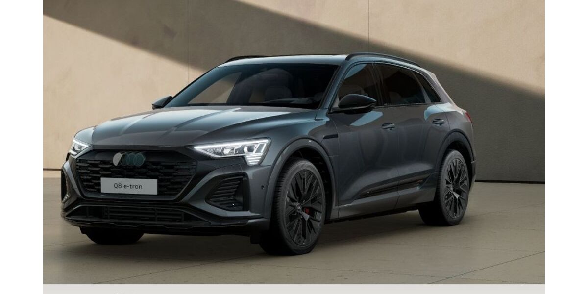 Audi Q8 e-tron 86.246 km 47.519 &euro; Northeim 37154