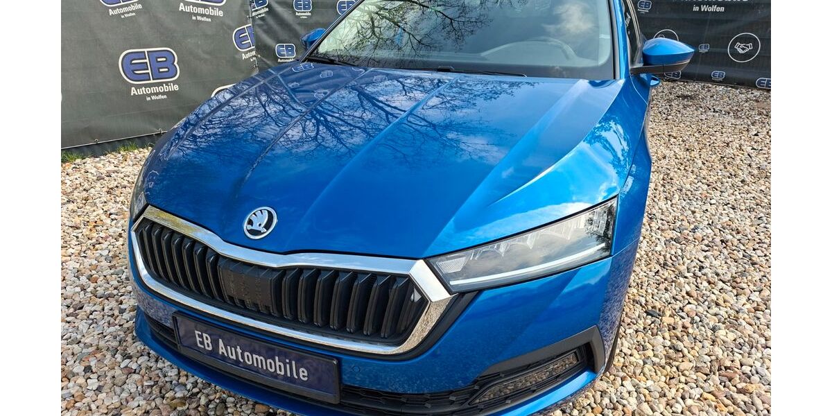 Skoda Octavia 61.000 km 19.444 &euro; Bitterfeld-Wolfen OT Wolfen 06766