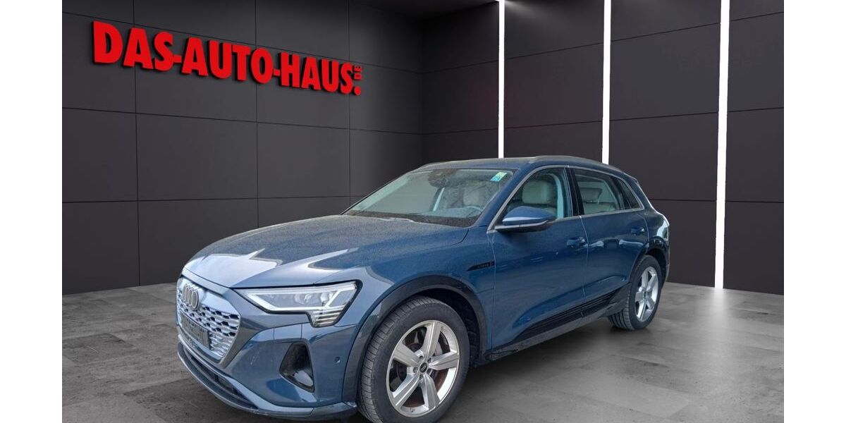 Audi Q8 e-tron 60.000 km 47.900 &euro; Montabaur 56410