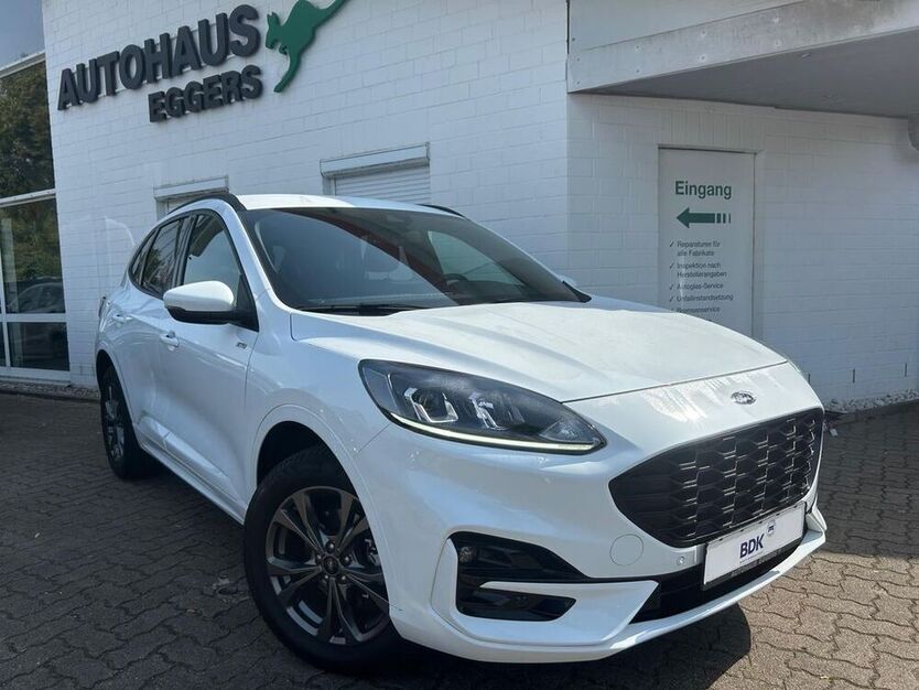 Kuga