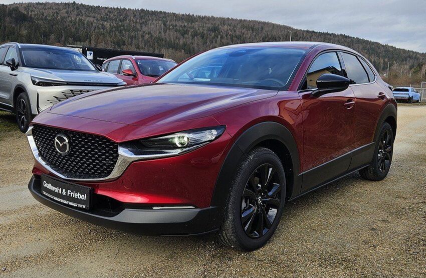 CX-30