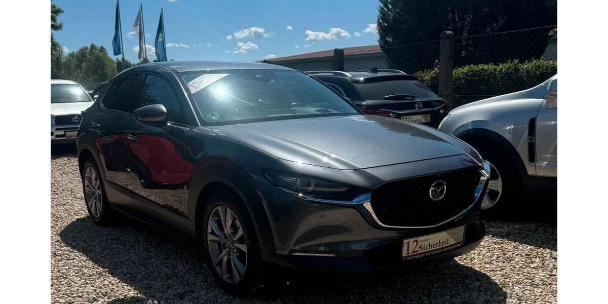 Mazda CX-30 107.221 km 17.499 € Bad Lauchstädt 06246