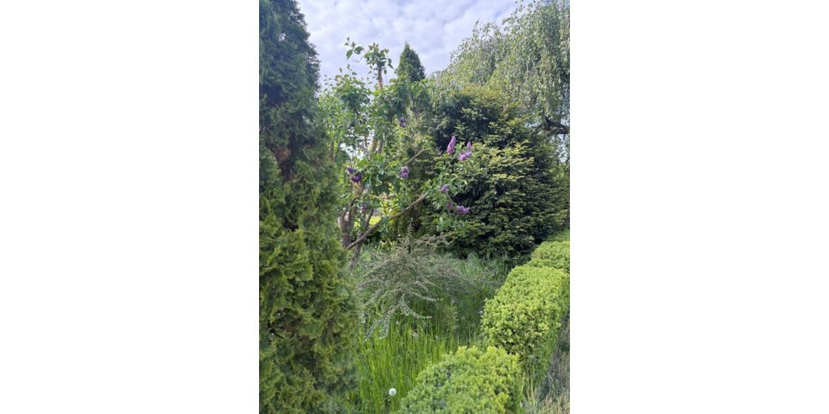 Gewerbeobjekt Giesen - 550&euro; | Angebot:24869585