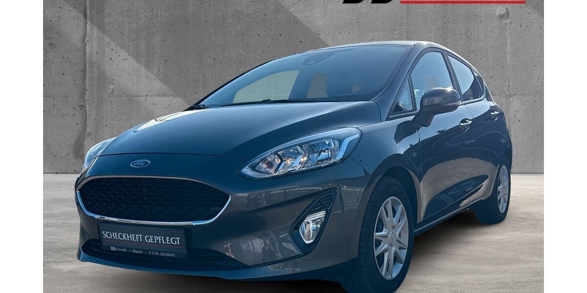 Ford Fiesta 120.000 km 9.090 &euro; Maxdorf 67133