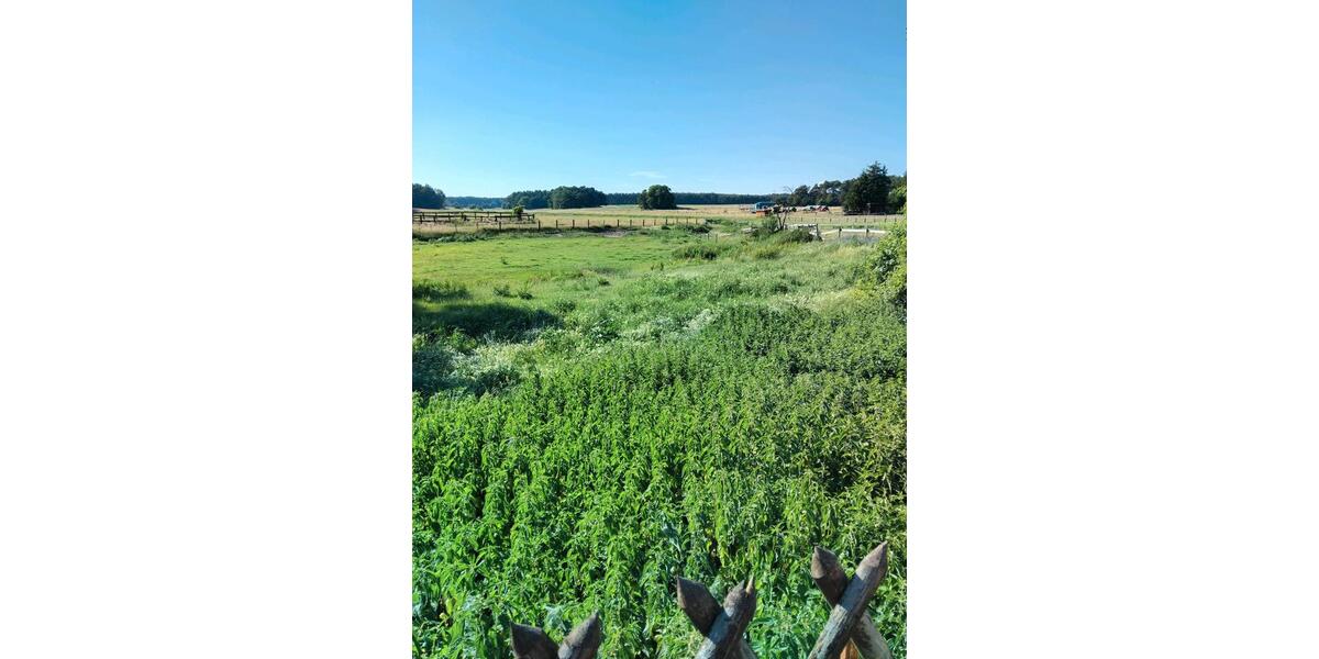 Bauernhaus, Landhaus Nuthe-Urstromtal Urstromtal - 10 Zimmer, 500 m&sup2;, 800.000&euro; | Angebot:27086755