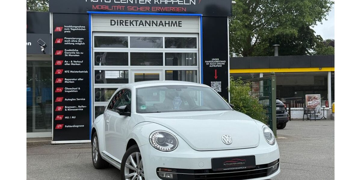 VW Beetle 243.000 km 9.490 &euro; Kappeln 24376