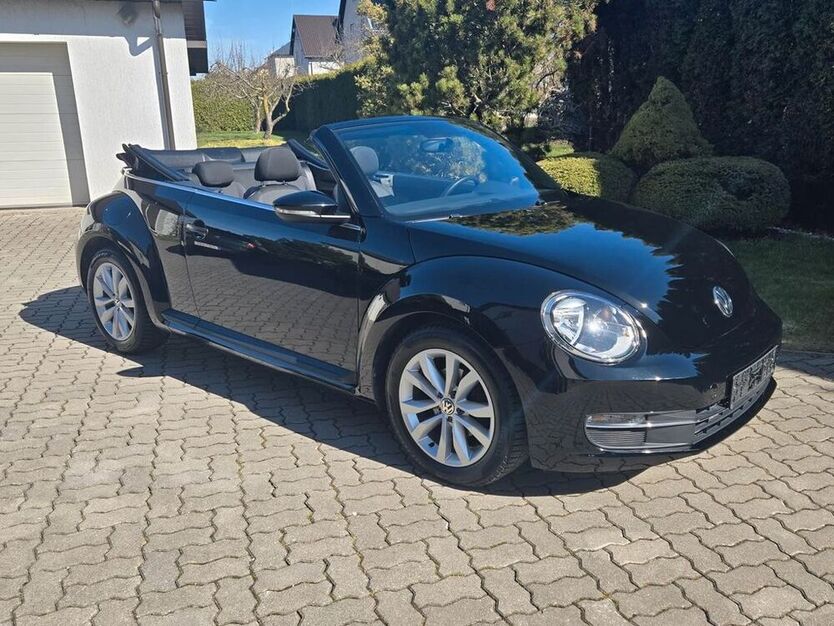 Beetle