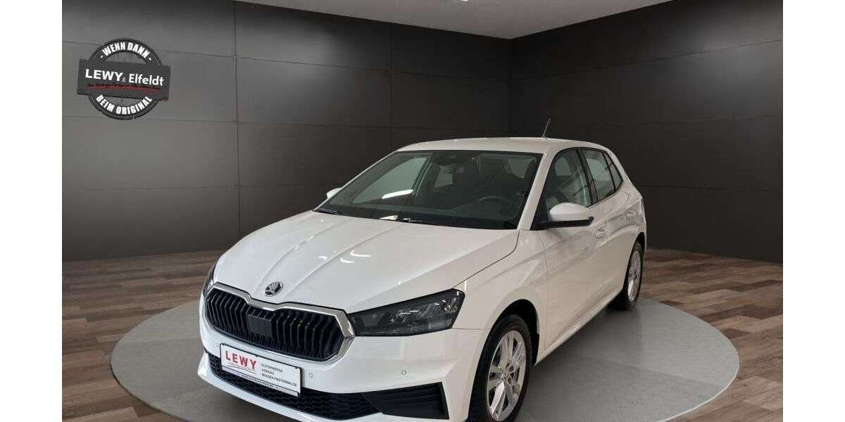 Skoda Fabia 12.716 km 15.490 &euro; Elsterwerda 04910