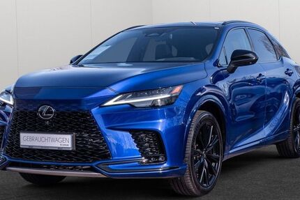 Lexus RX 500 31.191 km 68.990 &euro; Hamburg 22529