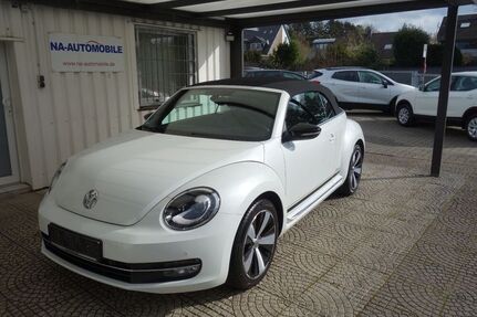 VW Beetle